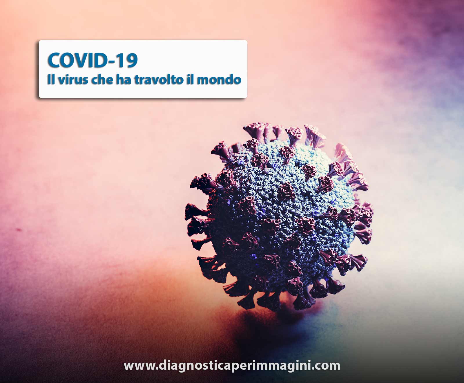 covid-19 il virus che ha travolto il mondo
